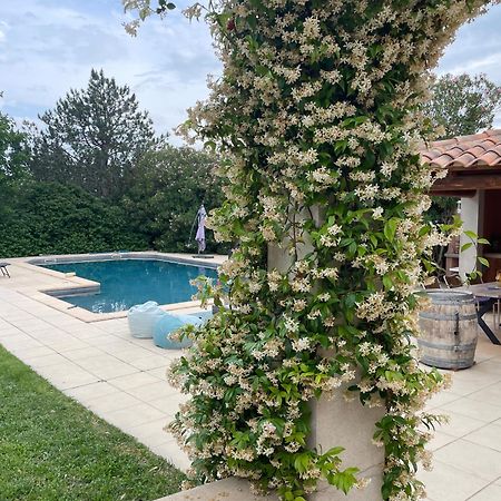 Villa Et Maisonnette Provencales Carpentras Εξωτερικό φωτογραφία