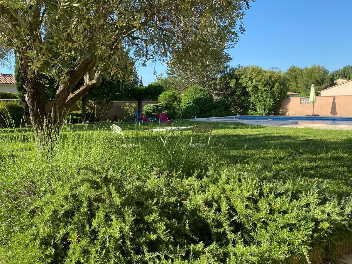 Villa Et Maisonnette Provencales Carpentras Εξωτερικό φωτογραφία